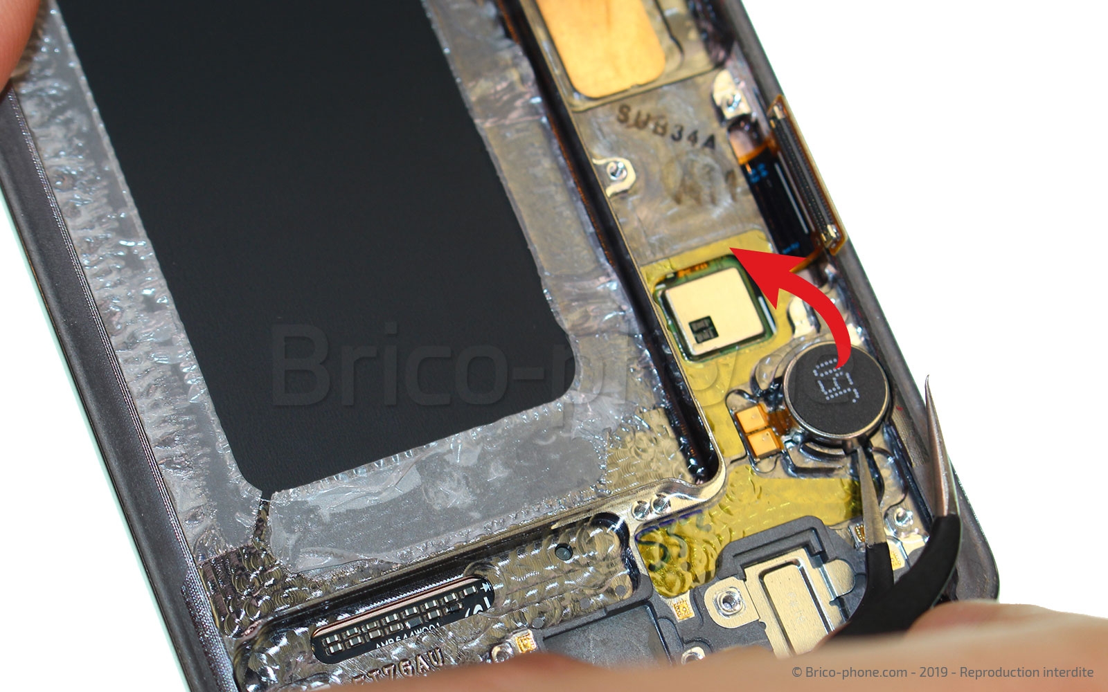 Démontage complet sur Galaxy S10 Plus photo 1