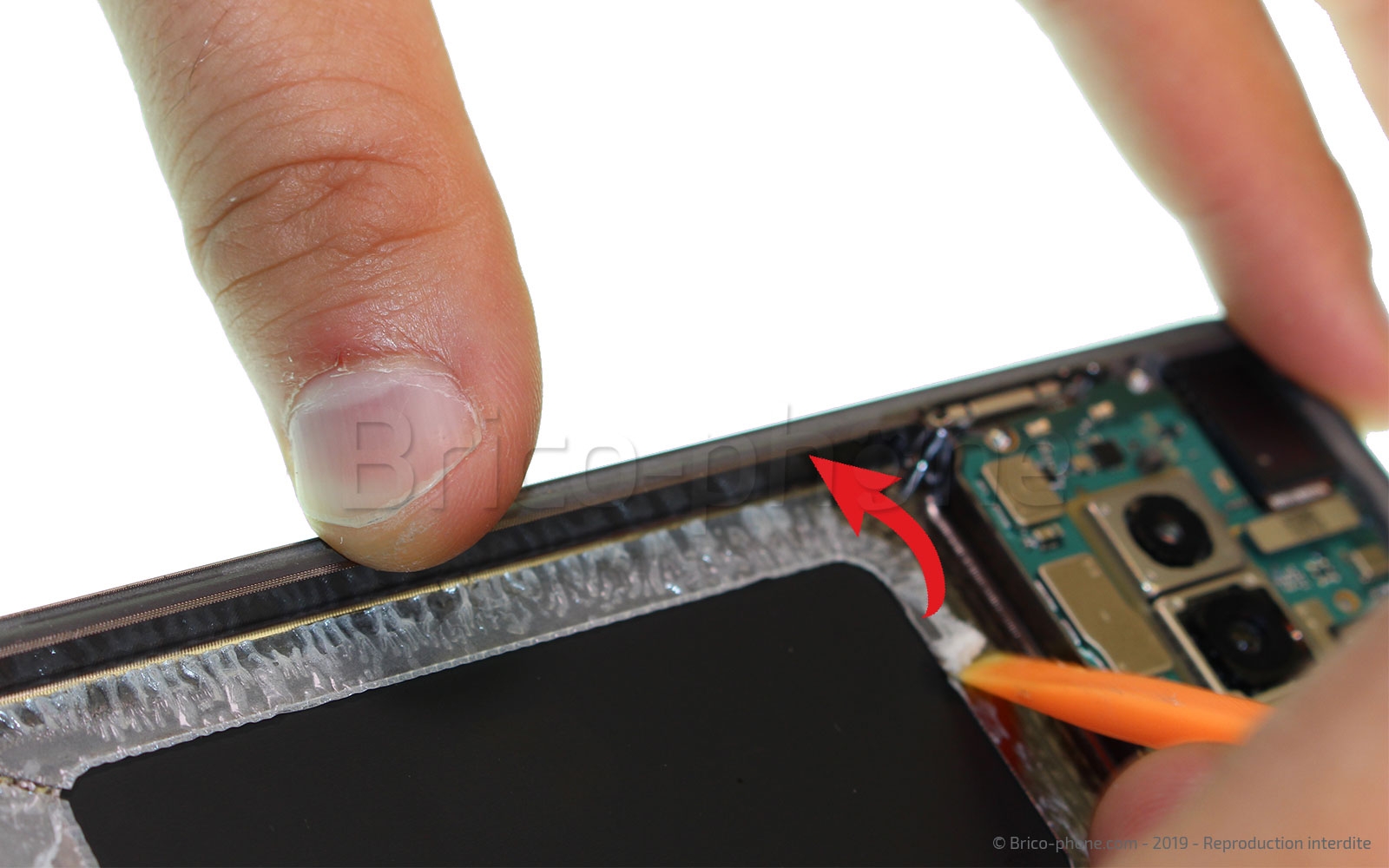 Changement de batterie sur Galaxy S10 Plus photo 1