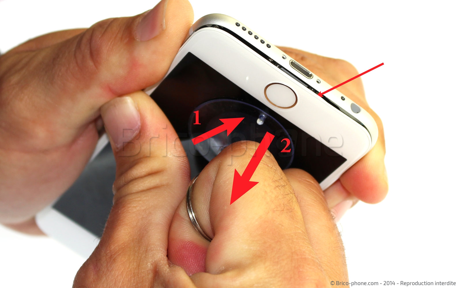 Changement du haut-parleur externe sur iPhone 6 photo 1