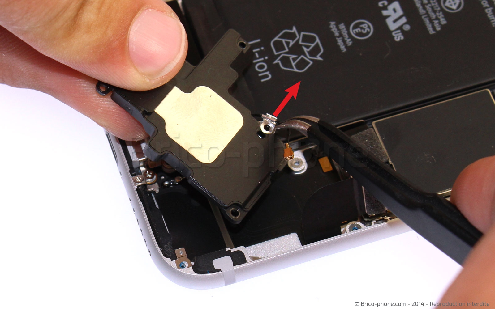Changement du haut-parleur externe sur iPhone 6 photo 4