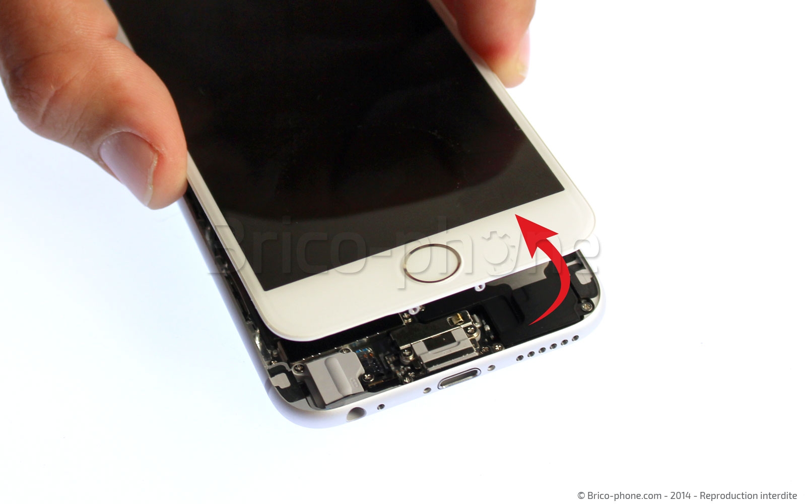 Changement du vibreur sur iPhone 6 photo 2