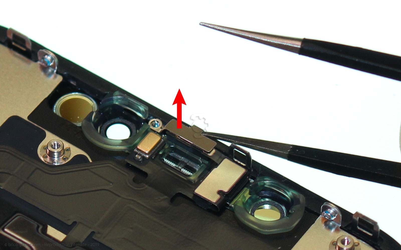 Remplacer l'écran (vitre et LCD) sur iPhone 11 photo 1