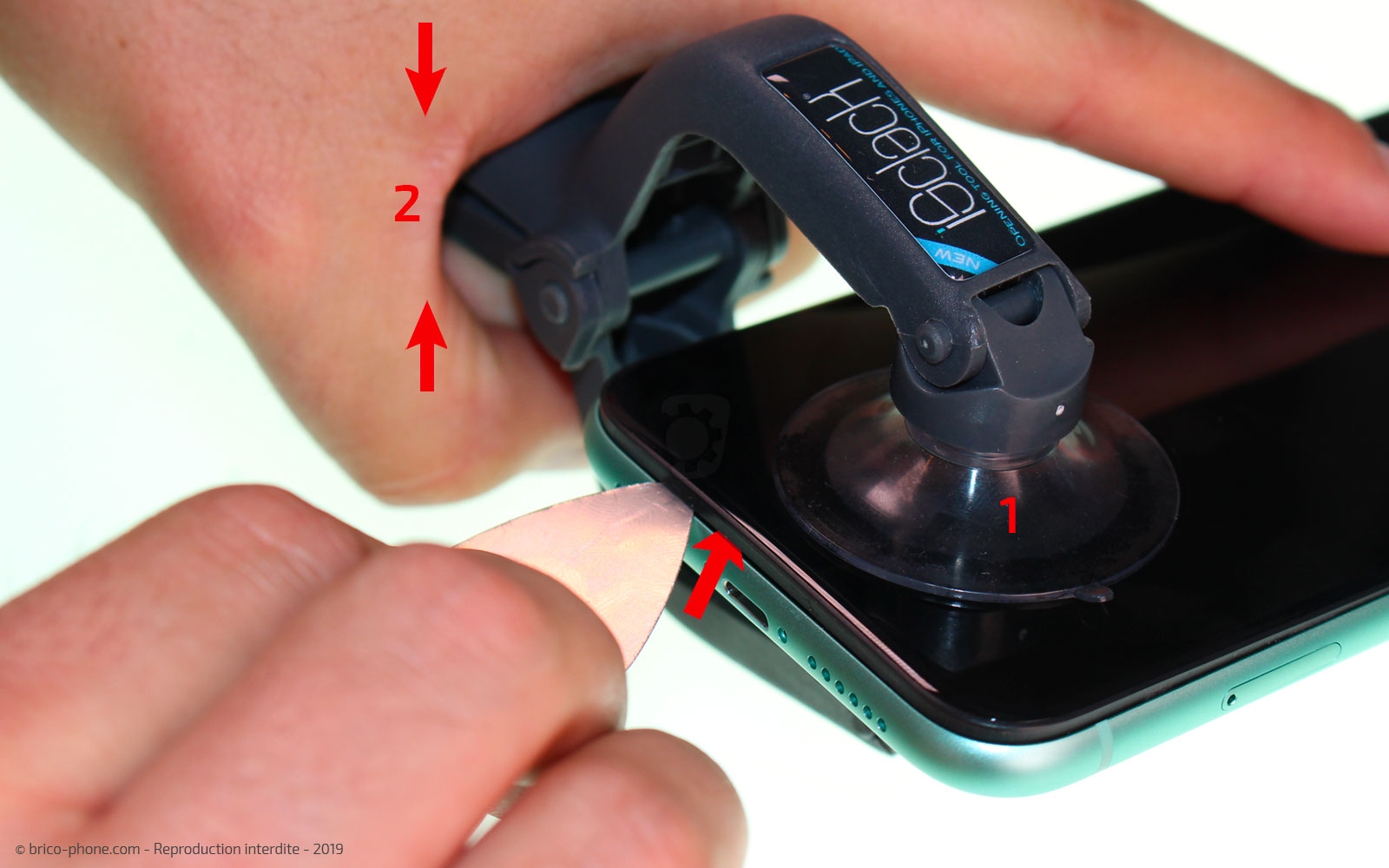 Remplacer l'écran (vitre et LCD) sur iPhone 11 photo 2