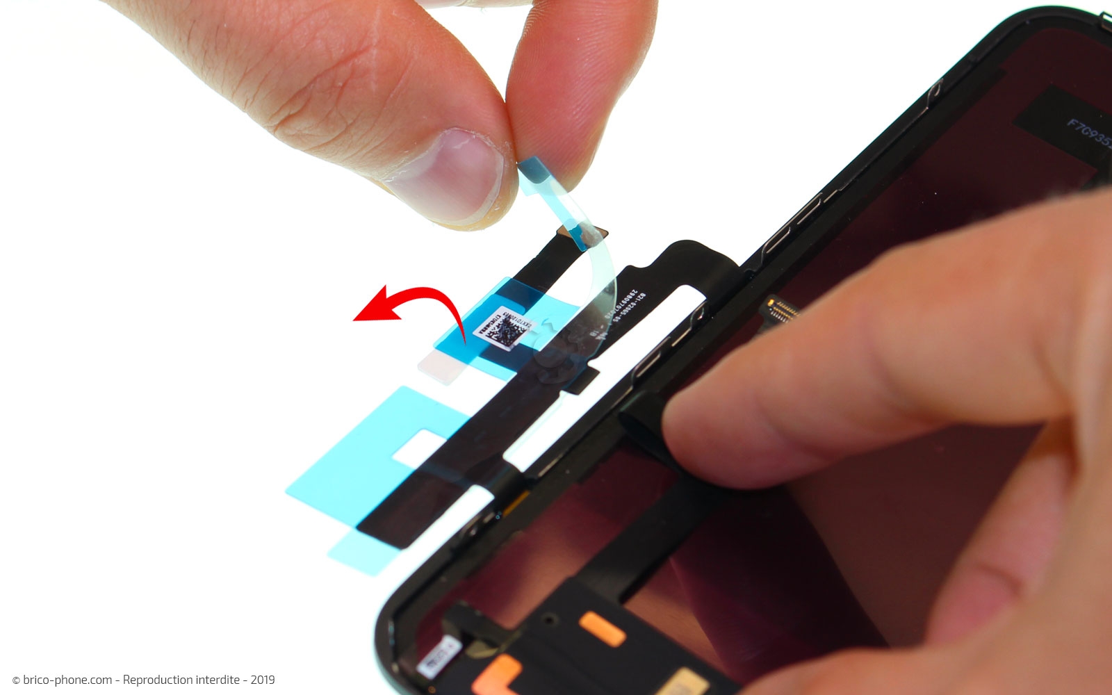 Remplacer l'écran (vitre et LCD) sur iPhone 11 photo 1