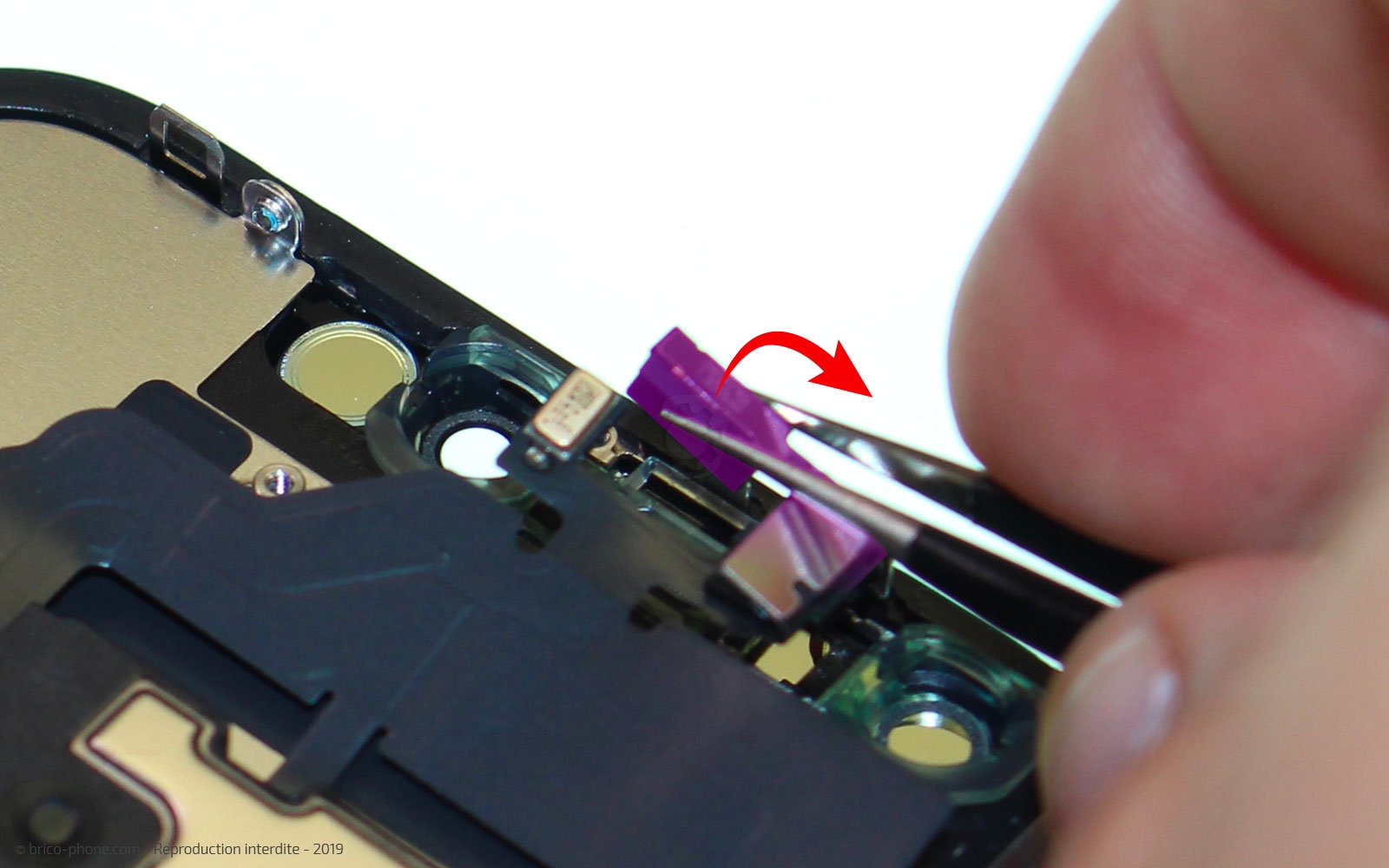 Remplacer l'écran (vitre et LCD) sur iPhone 11 photo 3