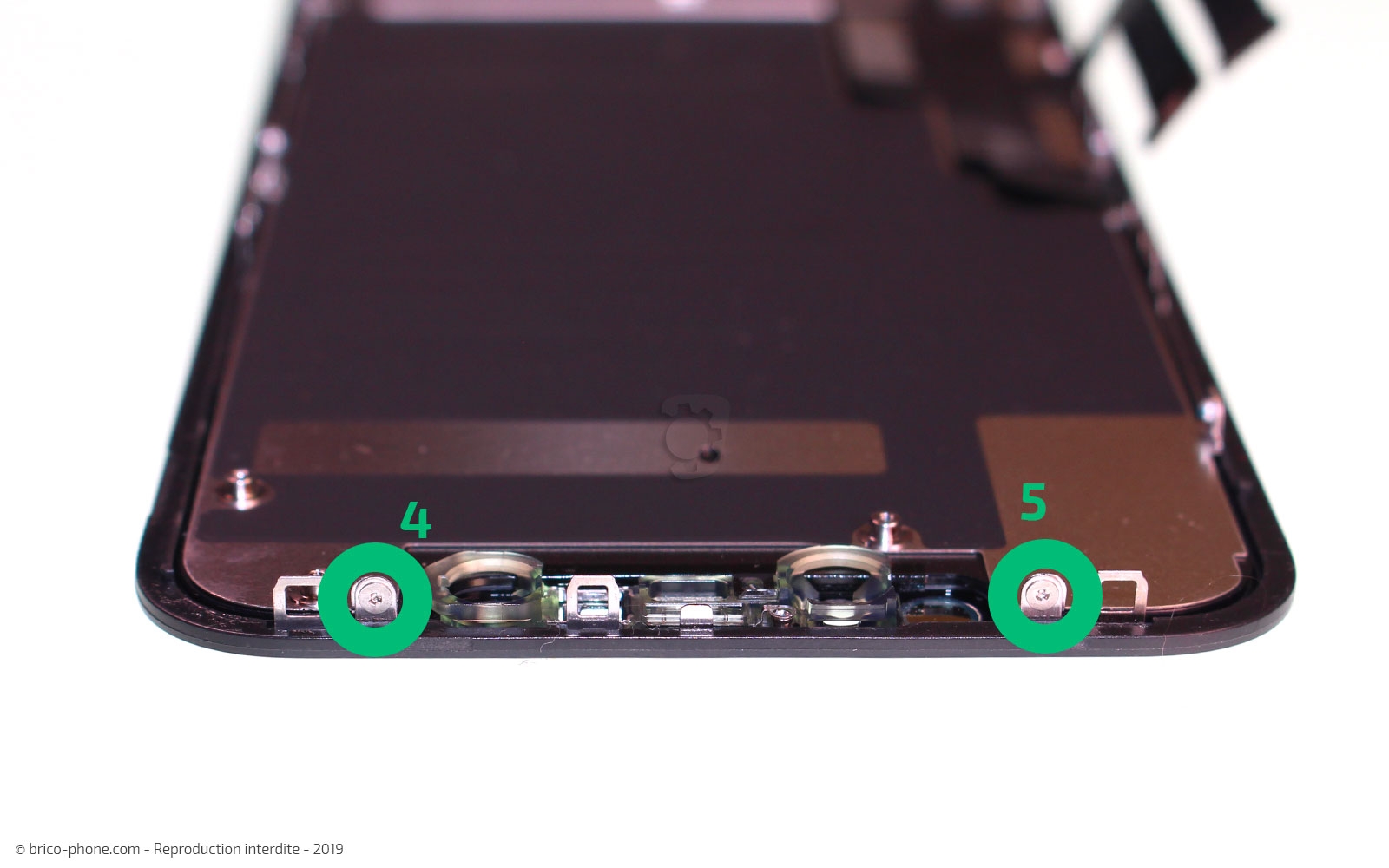 Remplacer l'écran (vitre et LCD) sur iPhone 11 photo 2