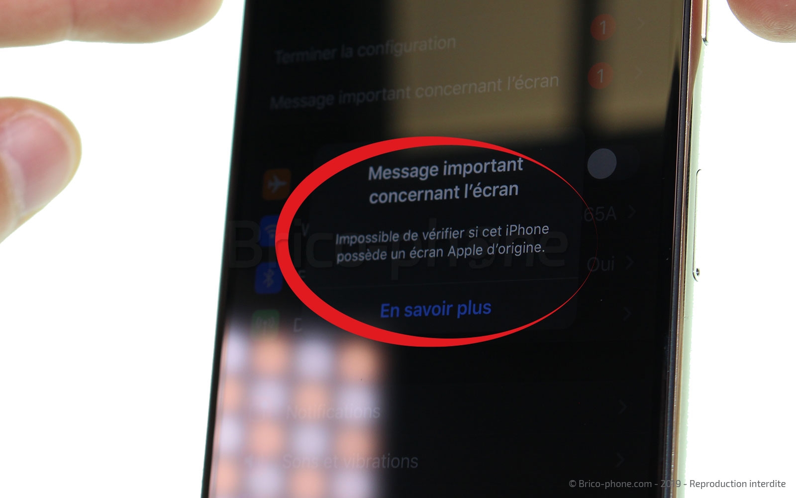 Remplacer l'écran (vitre et OLED)  sur iPhone 11 Pro Max photo 2