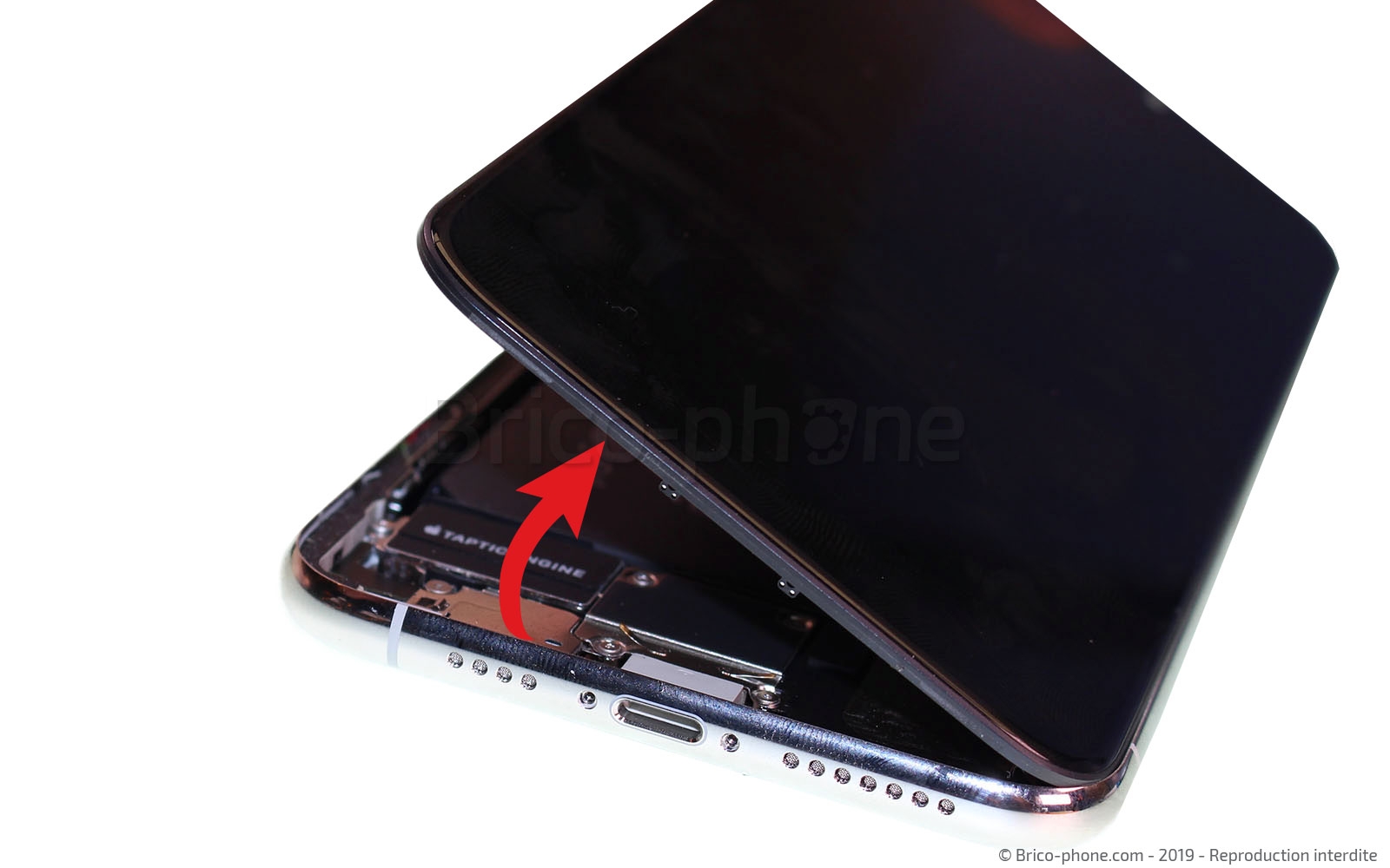 Remplacer l'écran (vitre et OLED)  sur iPhone 11 Pro Max photo 2