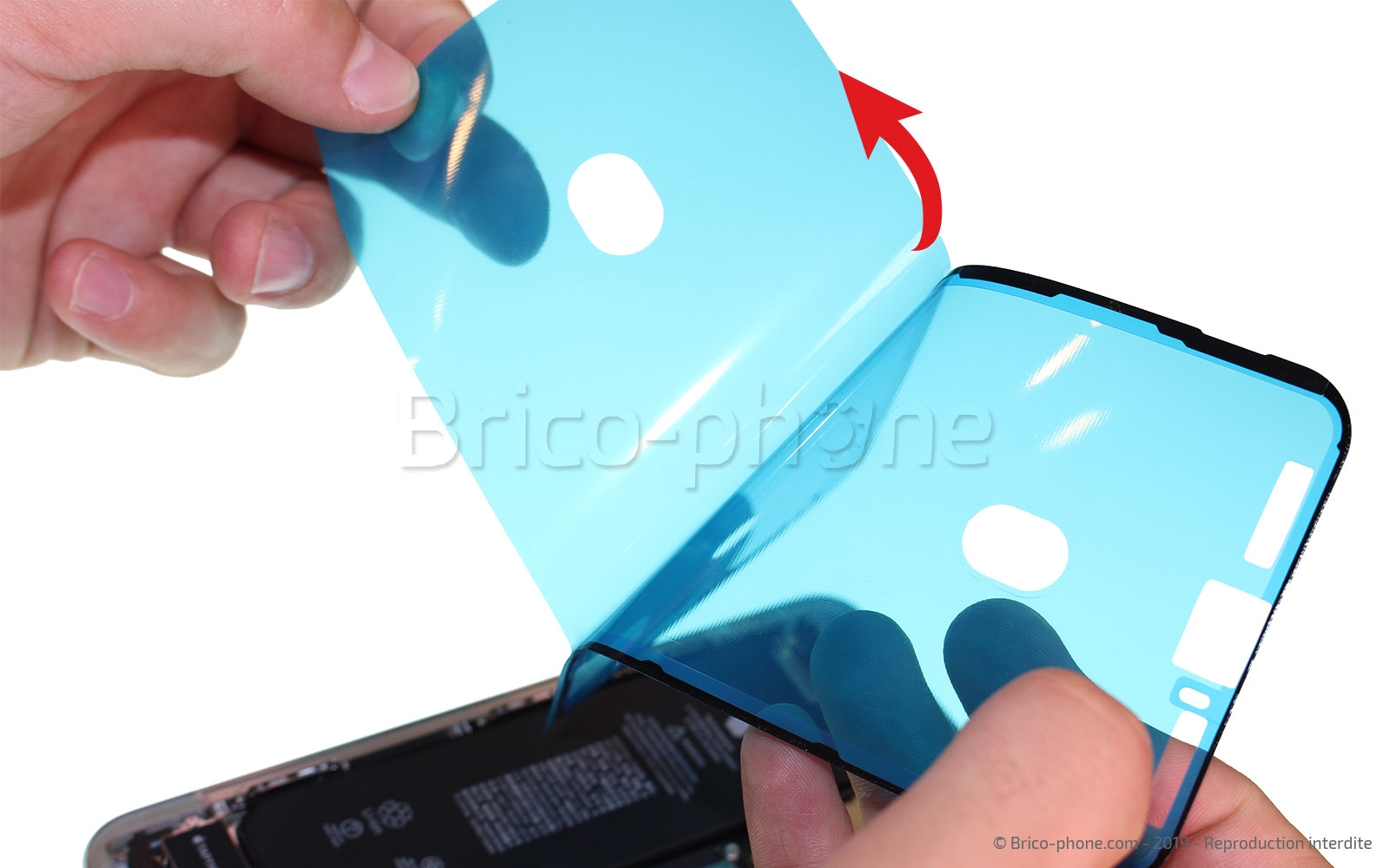 Remplacer l'écran (vitre et OLED)  sur iPhone 11 Pro Max photo 1