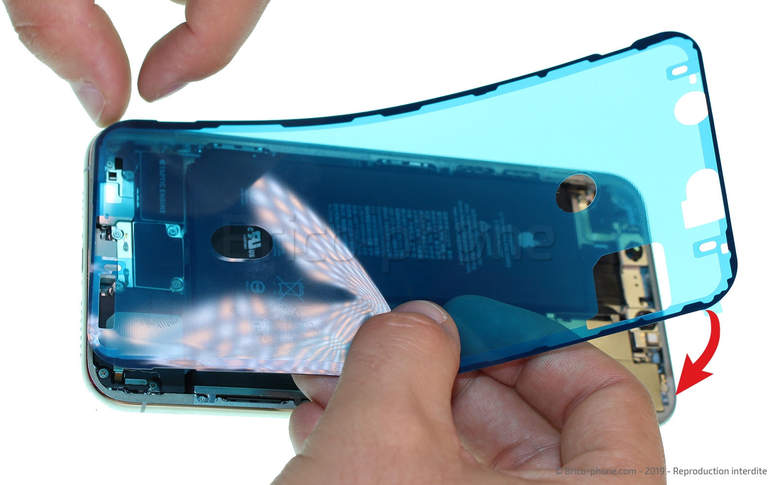 Remplacer l'écran (vitre et OLED)  sur iPhone 11 Pro Max photo 2