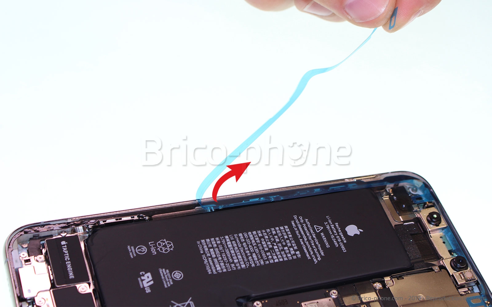 Remplacer l'écran (vitre et OLED)  sur iPhone 11 Pro Max photo 4