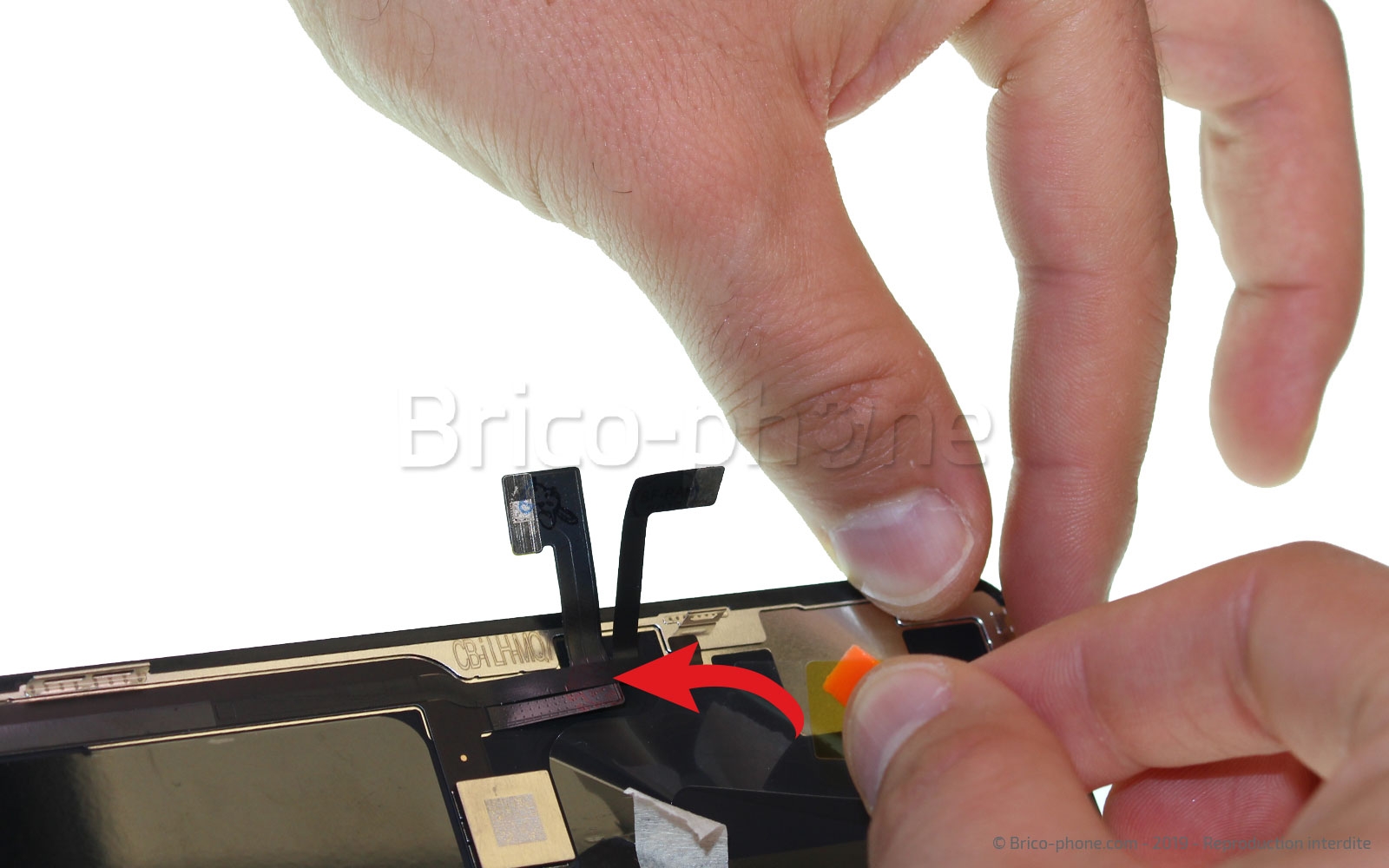 Remplacer l'écran (vitre et OLED)  sur iPhone 11 Pro Max photo 2