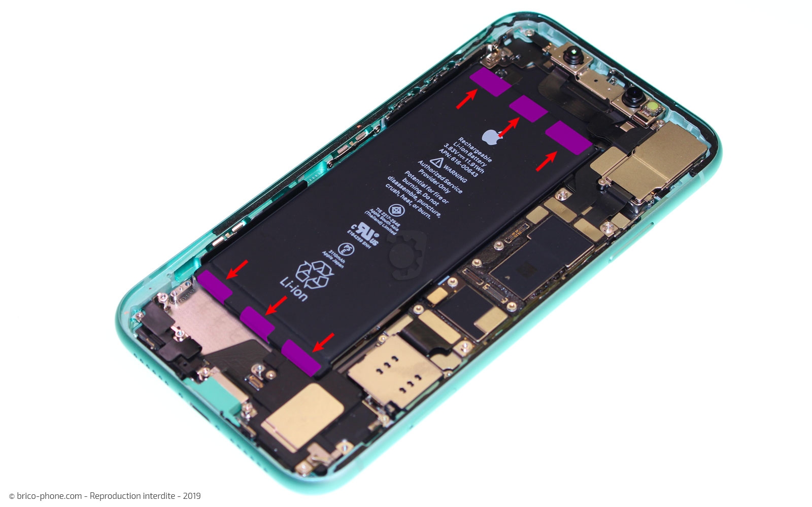 Changement de batterie sur iPhone 11 photo 1