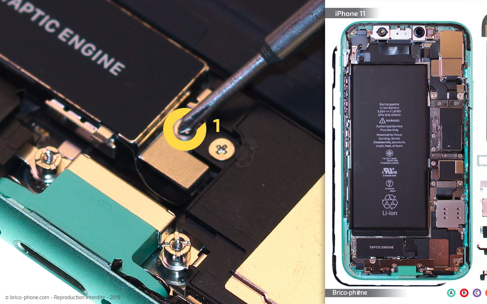 Changement de batterie sur iPhone 11 photo 3