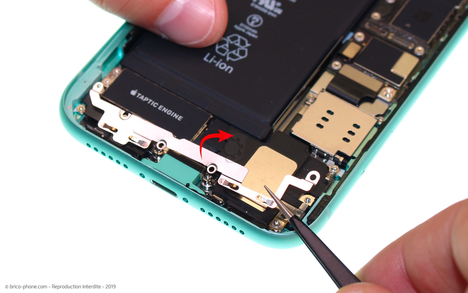 Changement de batterie sur iPhone 11 photo 2