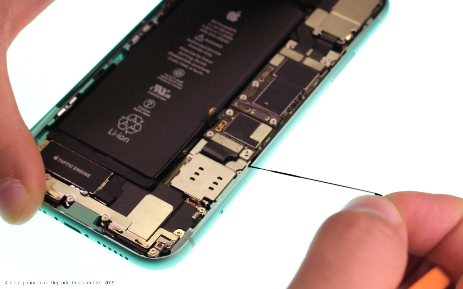 Changement de batterie sur iPhone 11 photo 1