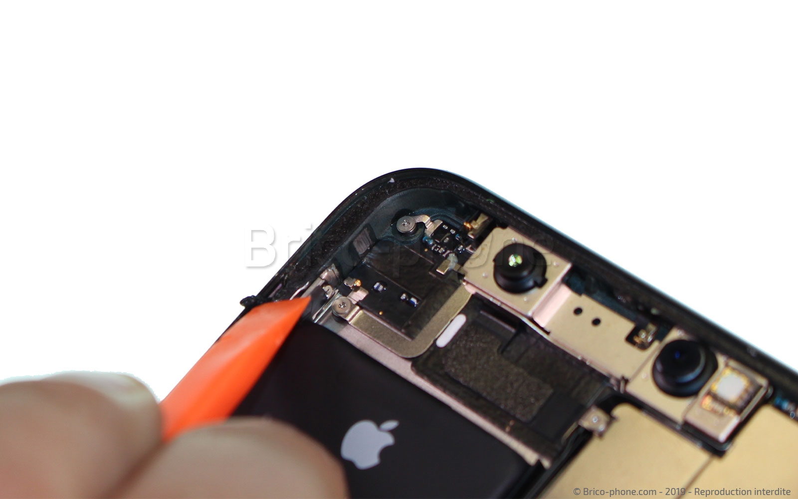 Remplacement de l'écran (vitre+ OLED) sur iPhone 11 Pro photo 1