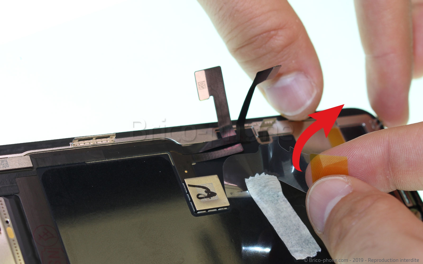 Remplacement de l'écran (vitre+ OLED) sur iPhone 11 Pro photo 1