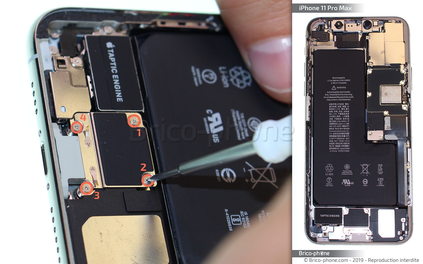 Remplacer le connecteur de charge  sur iPhone 11 Pro Max photo 1
