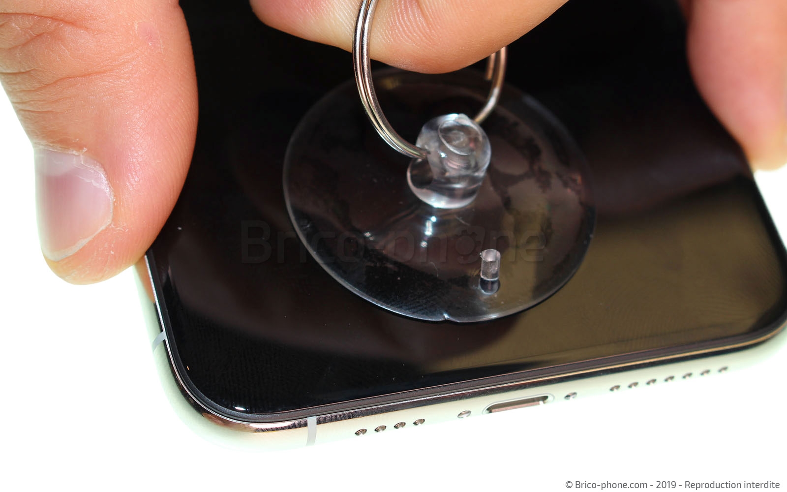 Remplacer le connecteur de charge  sur iPhone 11 Pro Max photo 2