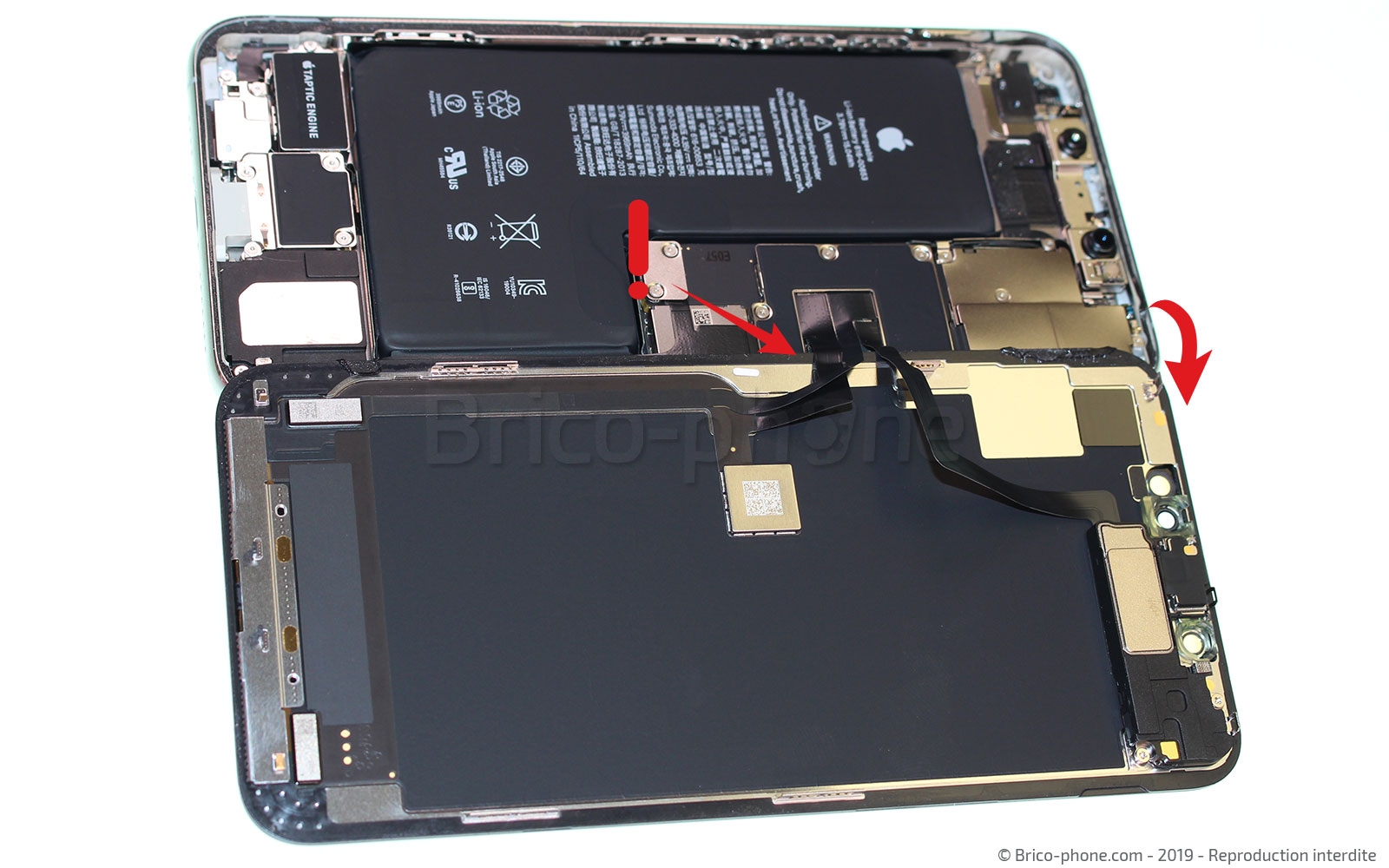 Remplacer le connecteur de charge  sur iPhone 11 Pro Max photo 3