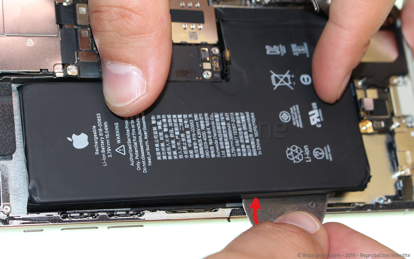 Démontage complet  sur iPhone 11 Pro Max photo 1