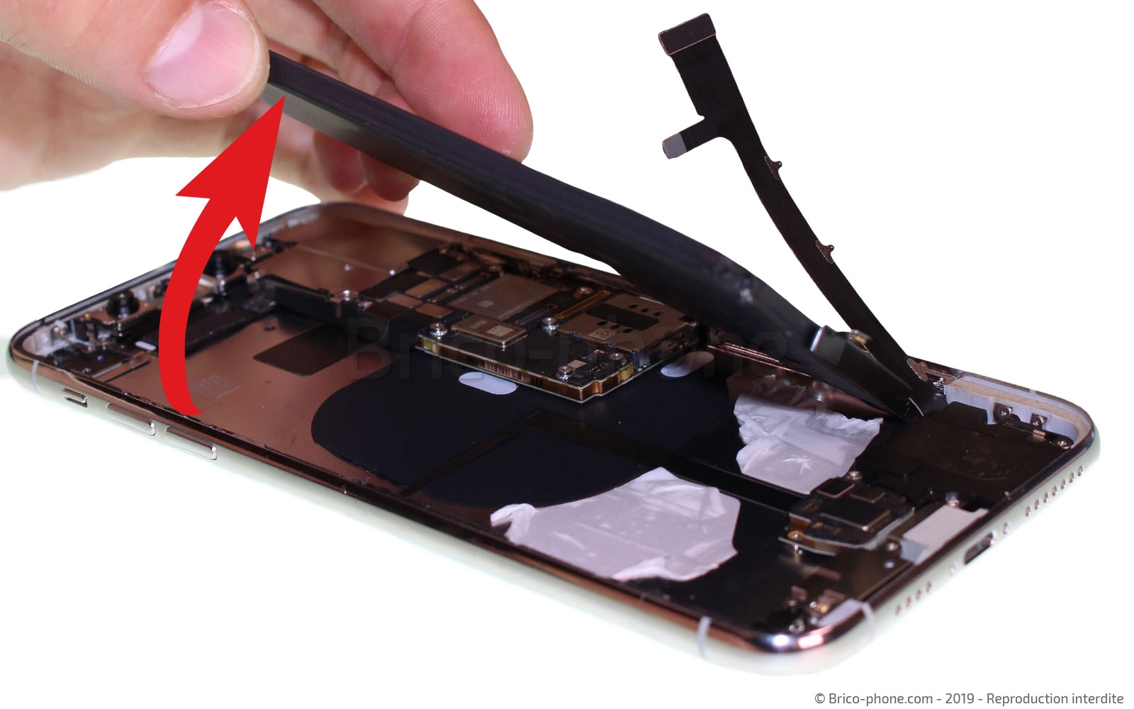 Démontage complet  sur iPhone 11 Pro Max photo 3