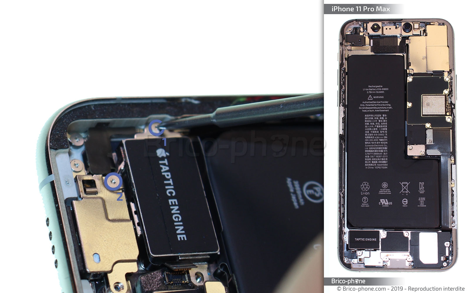 Démontage complet  sur iPhone 11 Pro Max photo 2