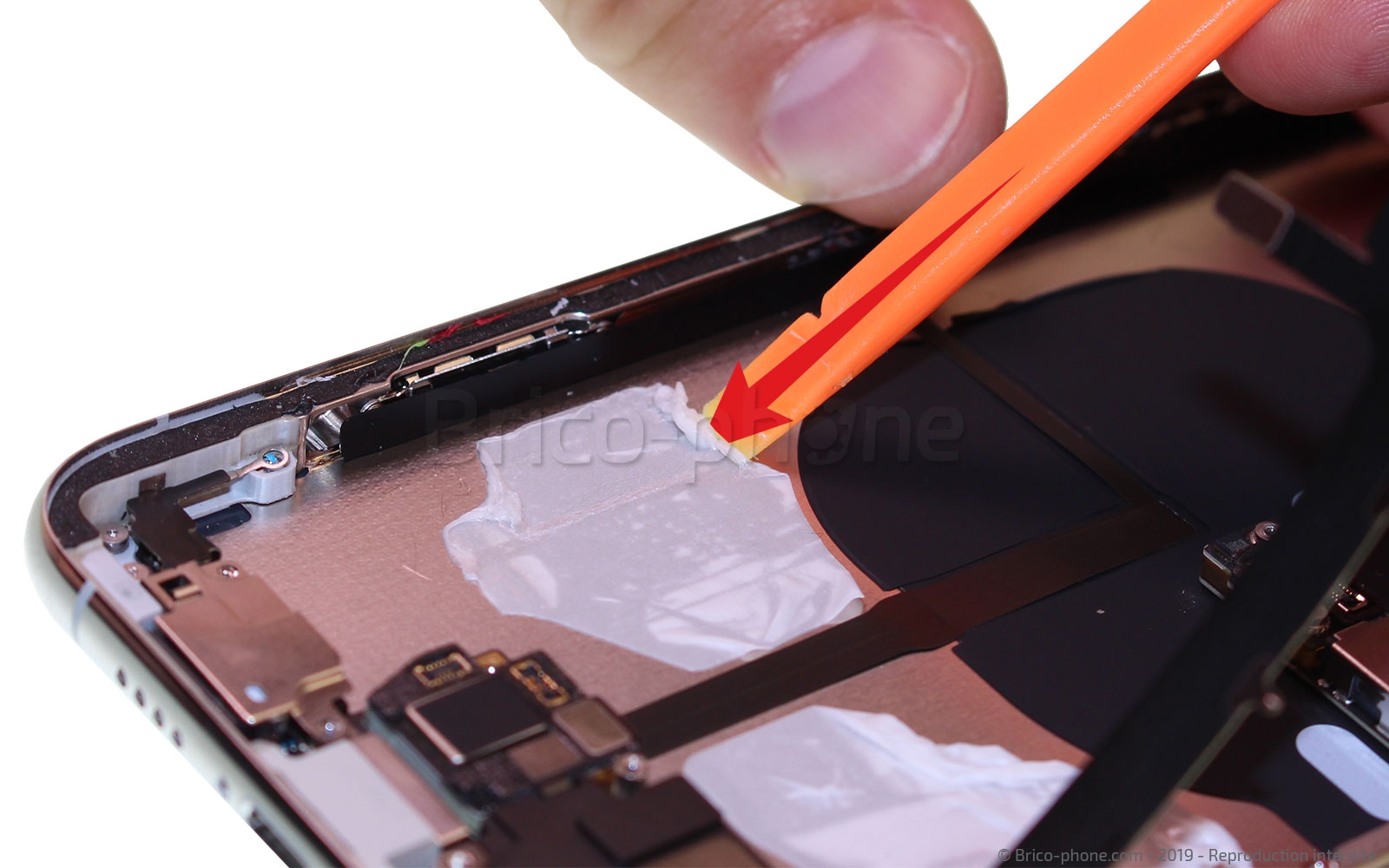 Démontage complet  sur iPhone 11 Pro Max photo 1