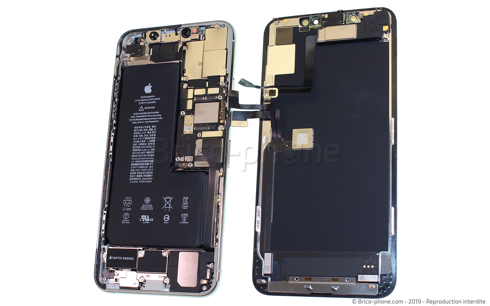 Démontage complet  sur iPhone 11 Pro Max photo 4