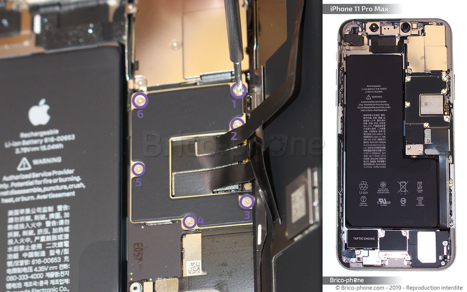 Démontage complet  sur iPhone 11 Pro Max photo 1