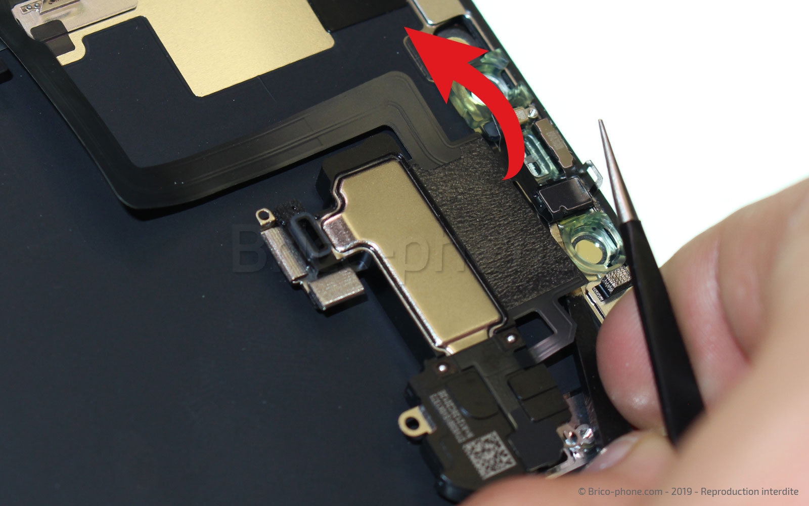 Démontage complet  sur iPhone 11 Pro Max photo 2