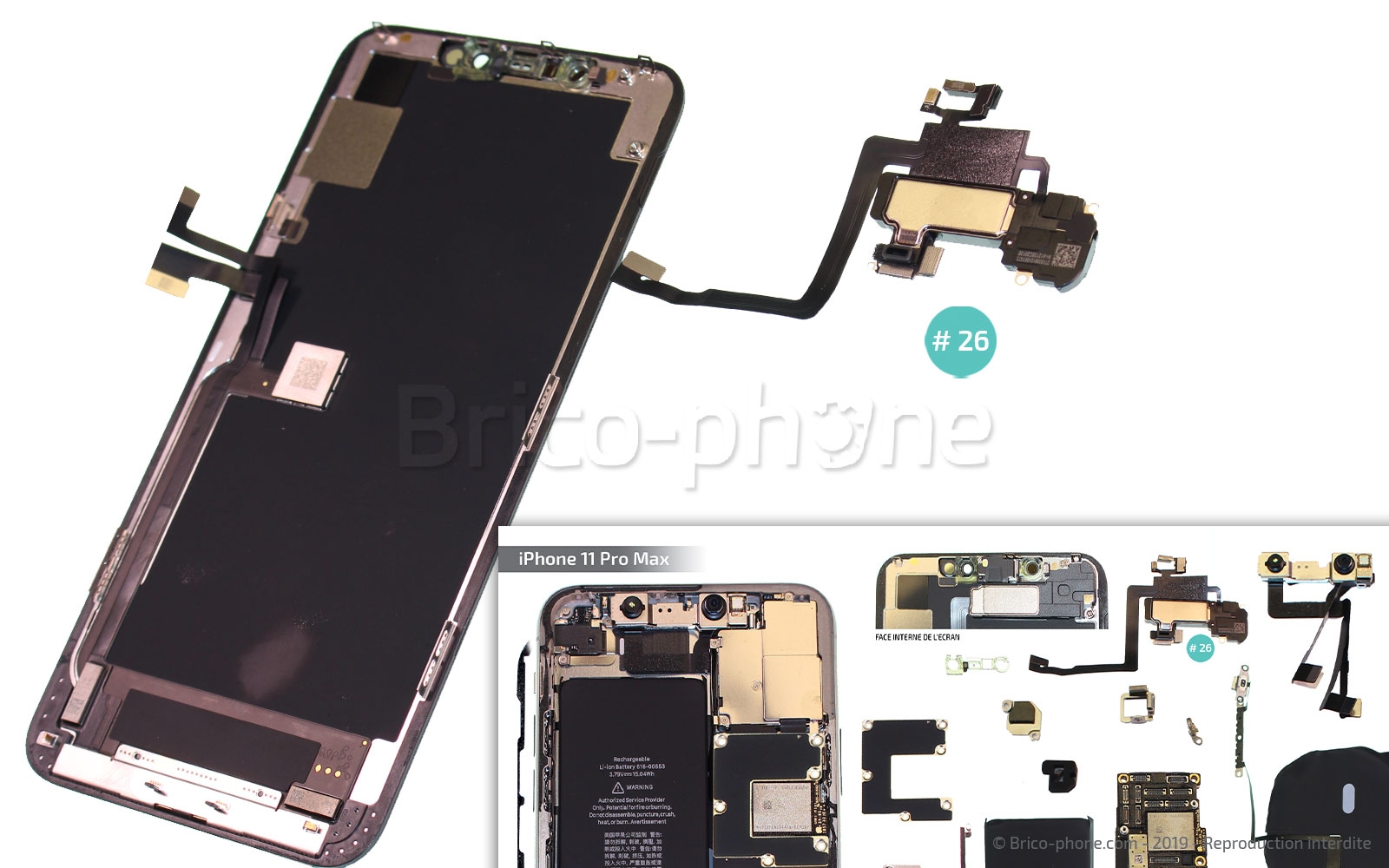 Démontage complet  sur iPhone 11 Pro Max photo 4