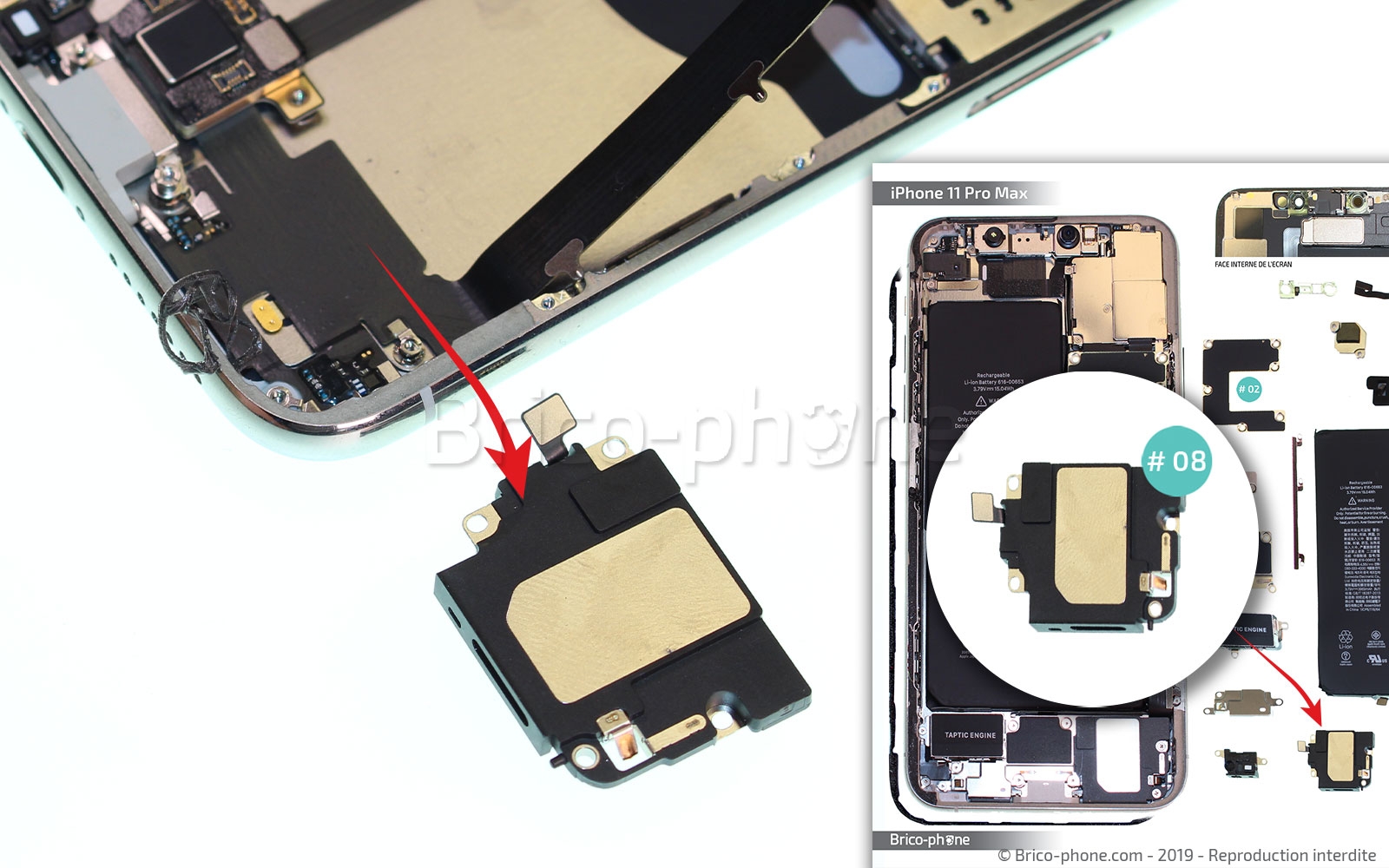 Démontage complet  sur iPhone 11 Pro Max photo 2