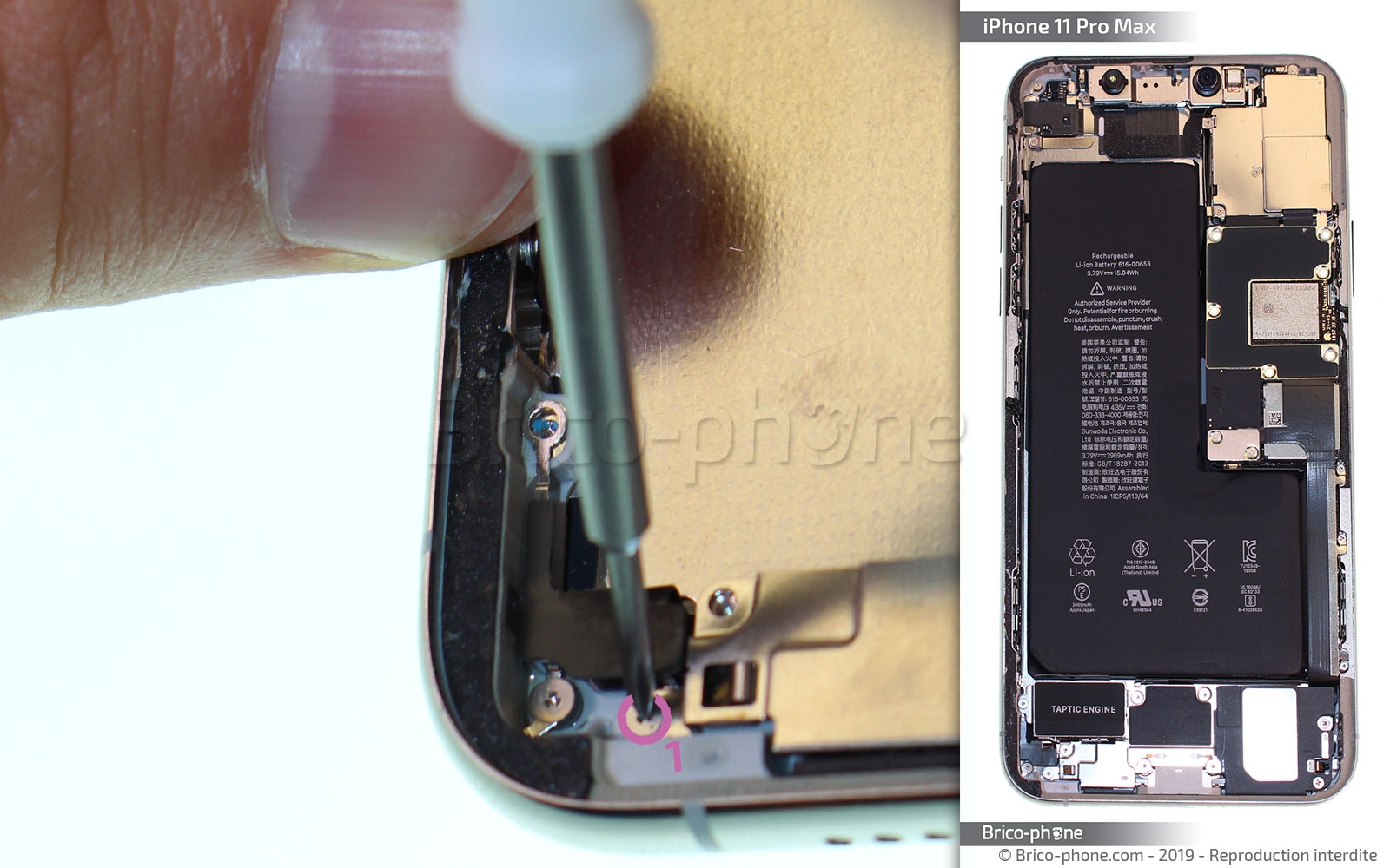Démontage complet  sur iPhone 11 Pro Max photo 1