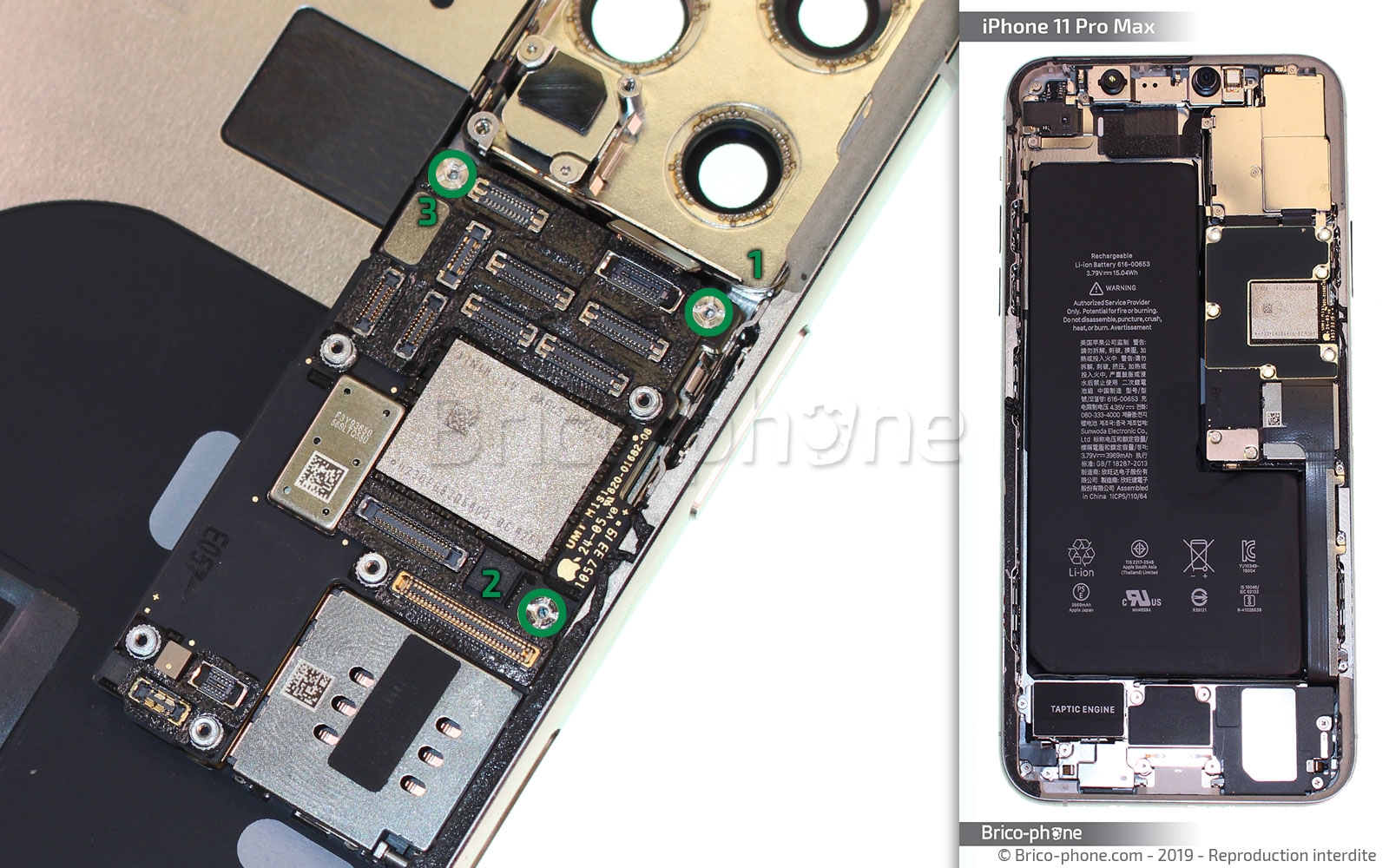 Démontage complet  sur iPhone 11 Pro Max photo 1