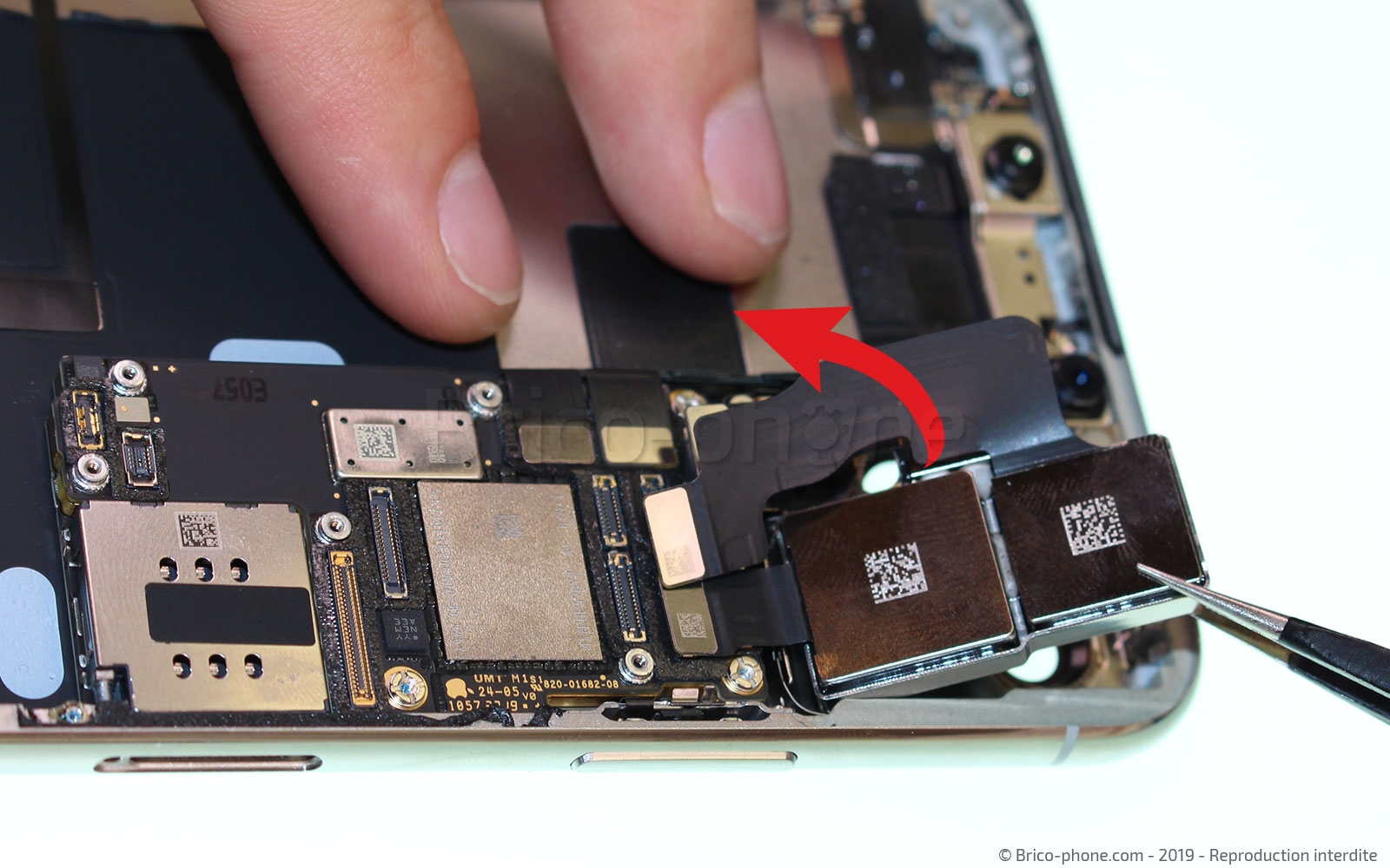 Démontage complet  sur iPhone 11 Pro Max photo 1