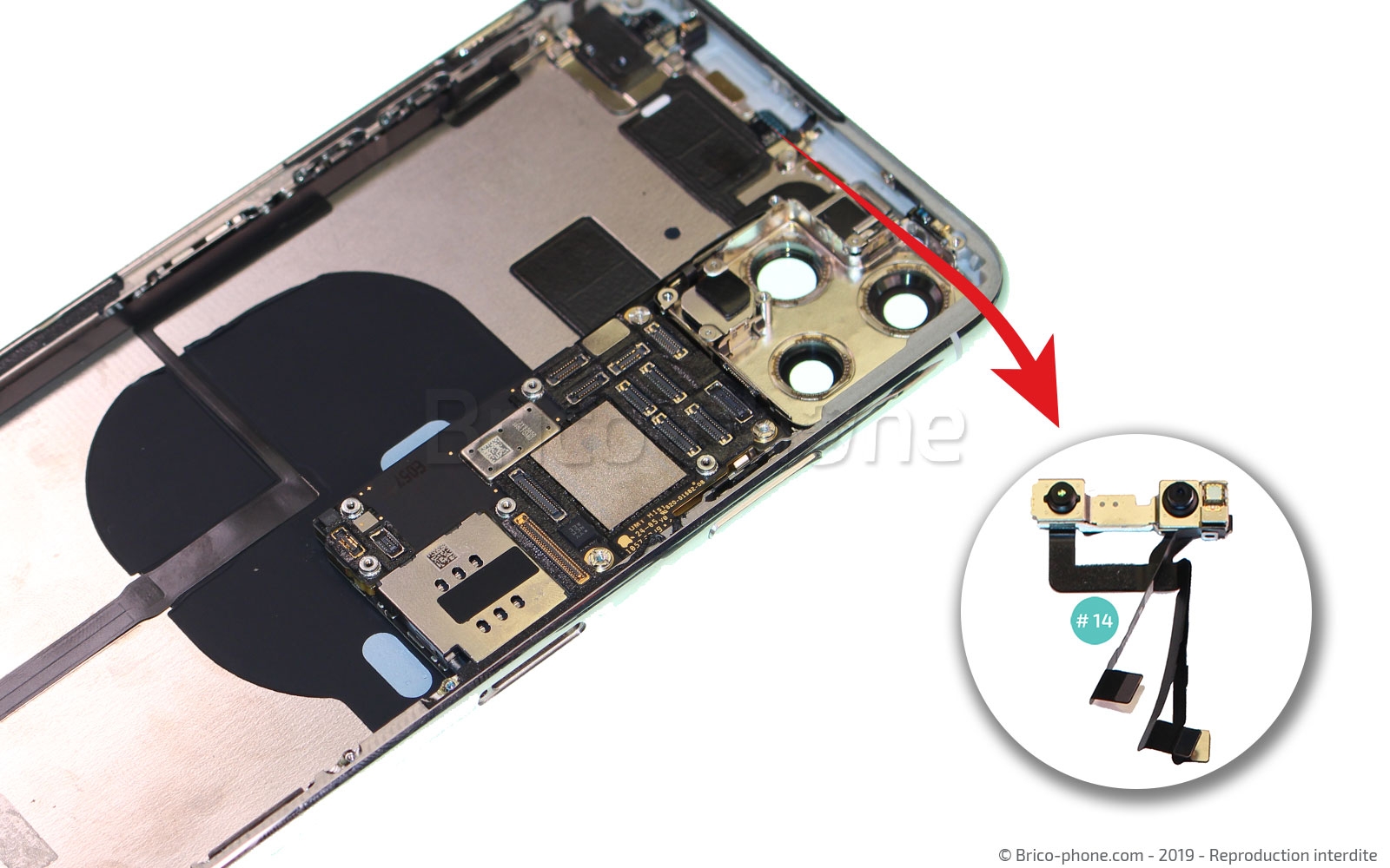 Démontage complet  sur iPhone 11 Pro Max photo 2