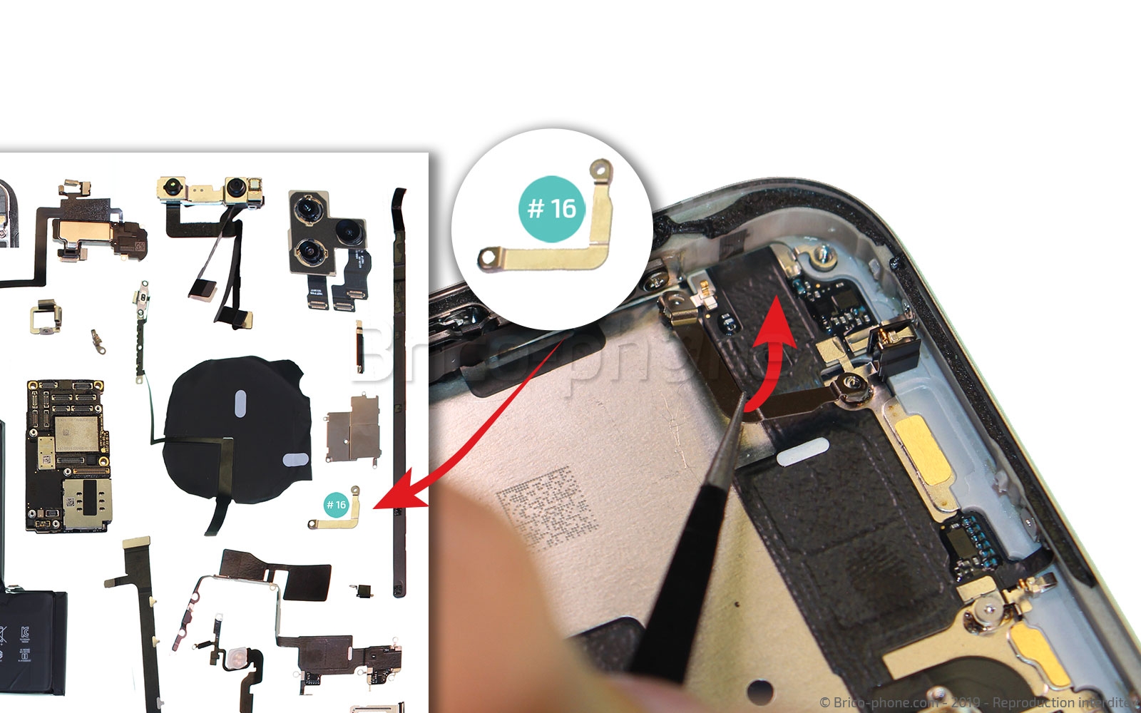 Démontage complet  sur iPhone 11 Pro Max photo 2