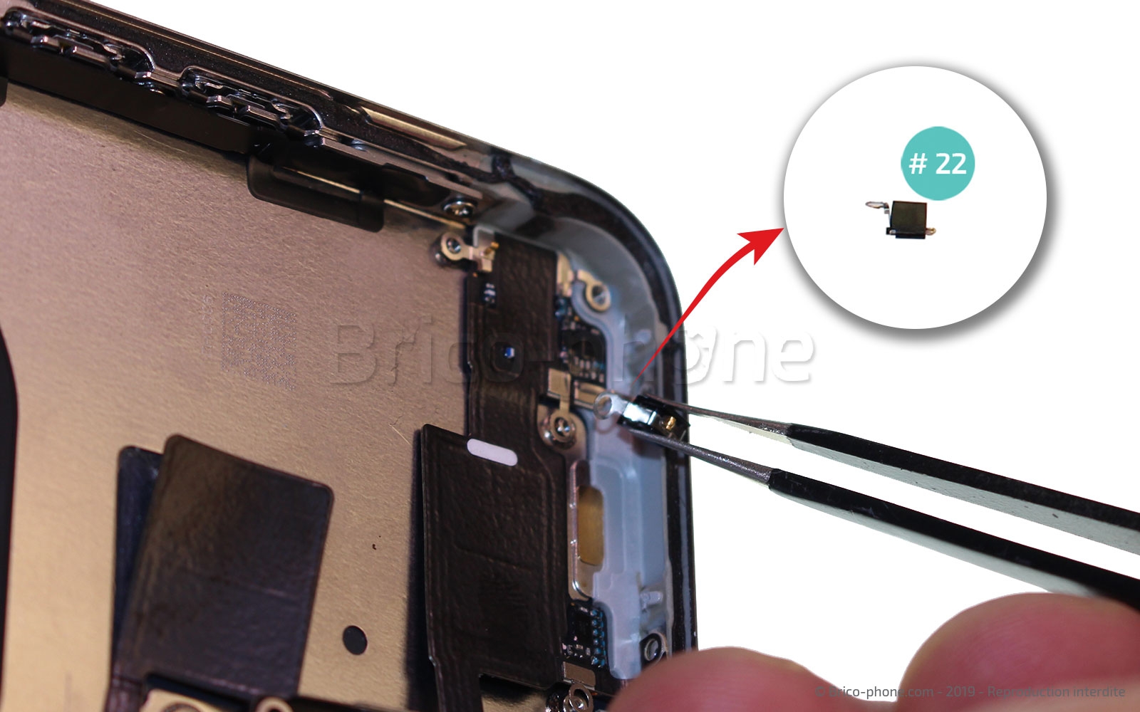 Démontage complet  sur iPhone 11 Pro Max photo 3