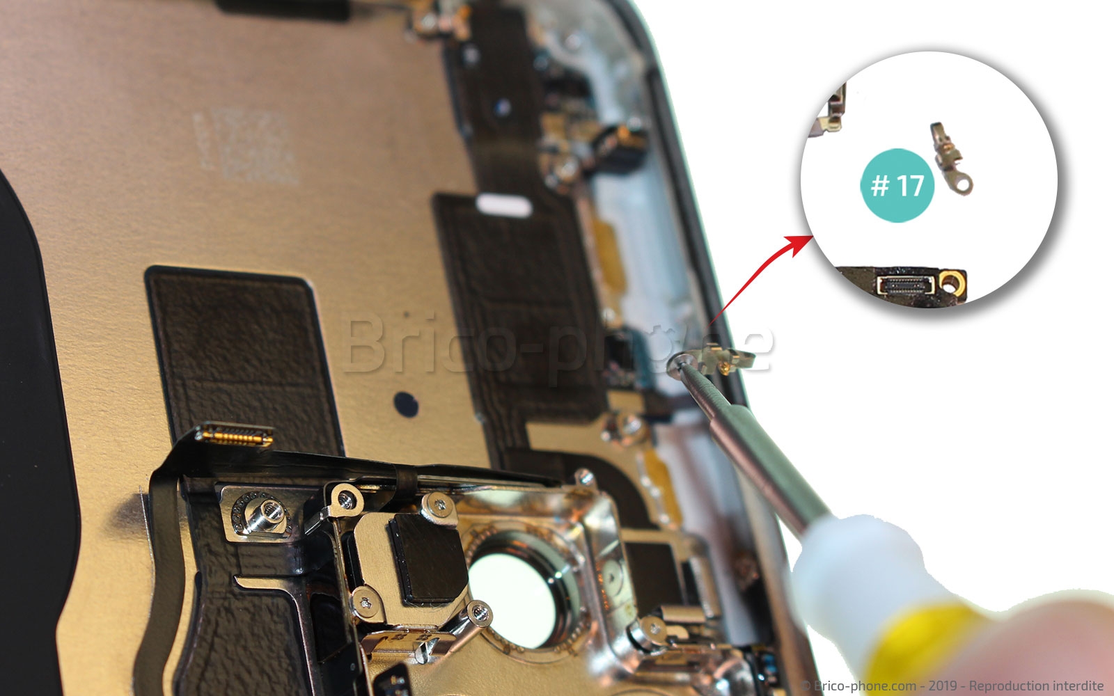 Démontage complet  sur iPhone 11 Pro Max photo 2