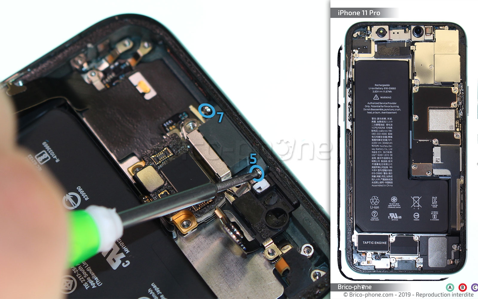 Changement du connecteur de charge sur iPhone 11 Pro photo 4