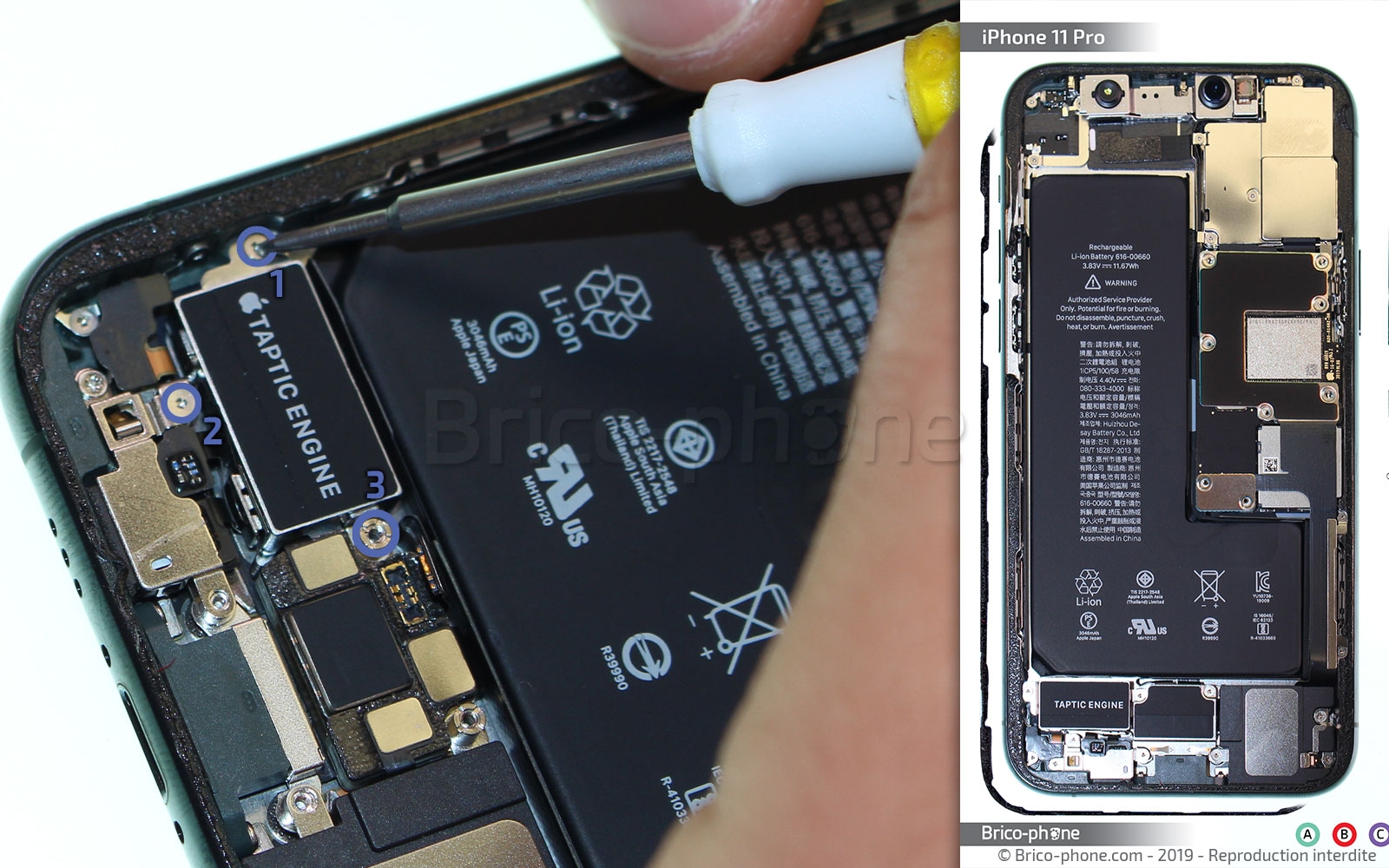 Changement du connecteur de charge sur iPhone 11 Pro photo 1