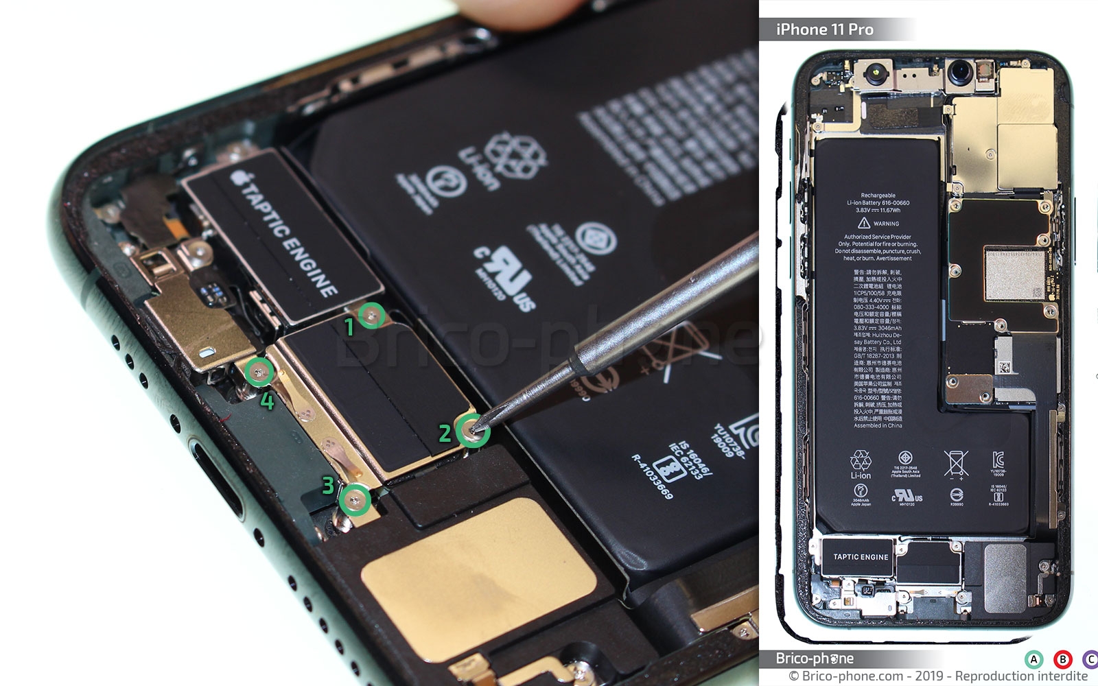 Démontage complet sur iPhone 11 Pro photo 1