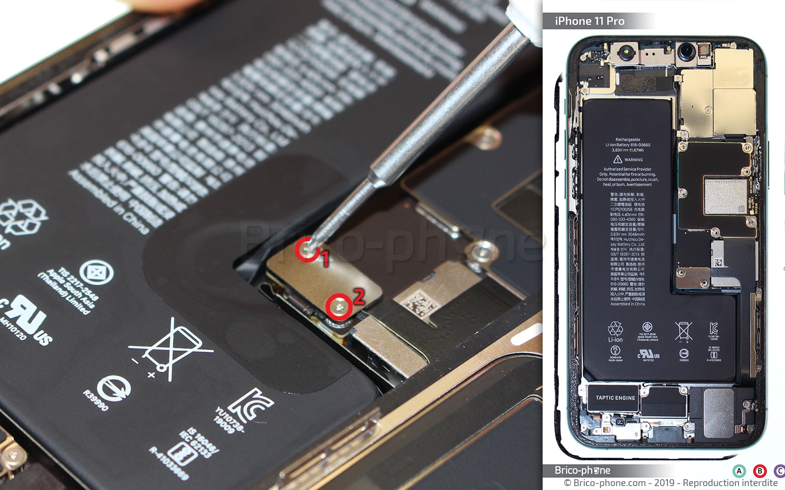 Démontage complet sur iPhone 11 Pro photo 1