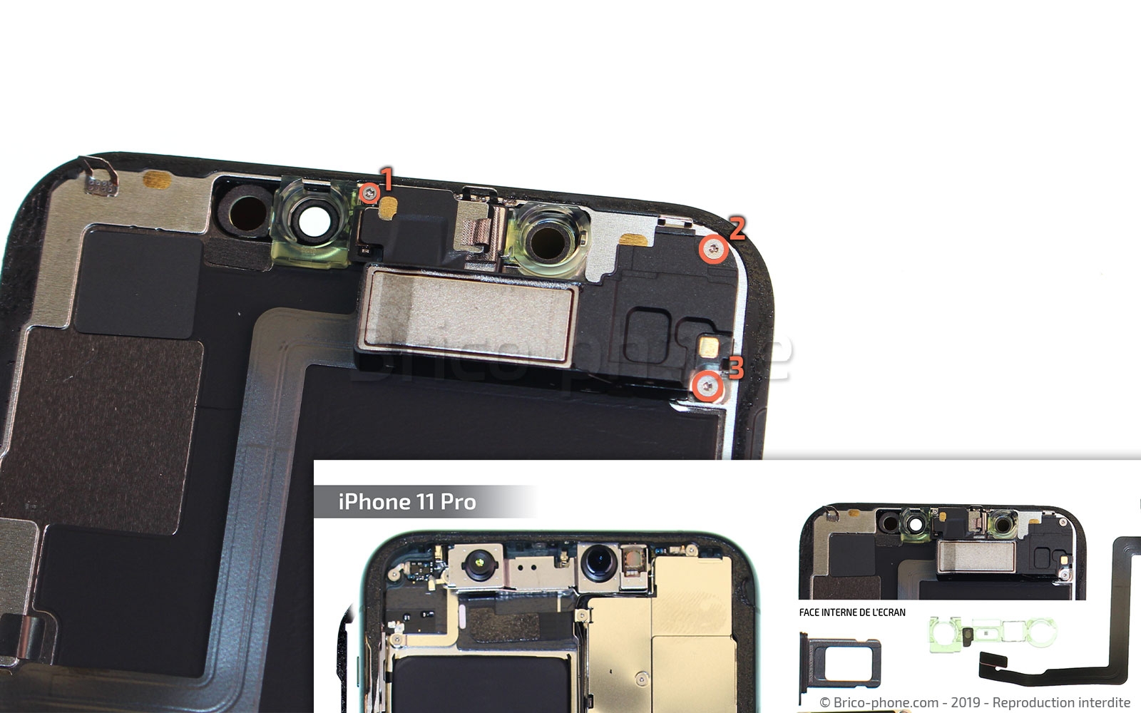 Démontage complet sur iPhone 11 Pro photo 1