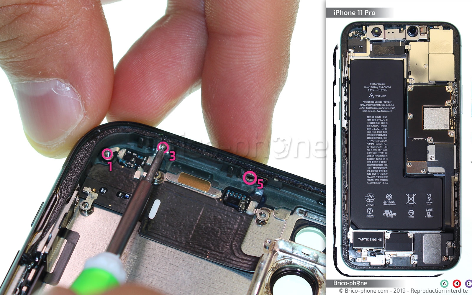 Démontage complet sur iPhone 11 Pro photo 1