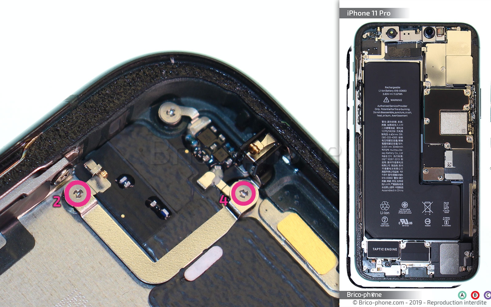 Démontage complet sur iPhone 11 Pro photo 1