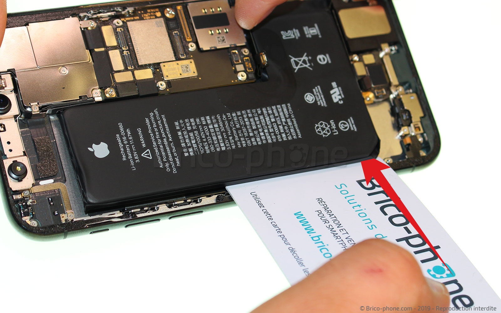 Démontage complet sur iPhone 11 Pro photo 1
