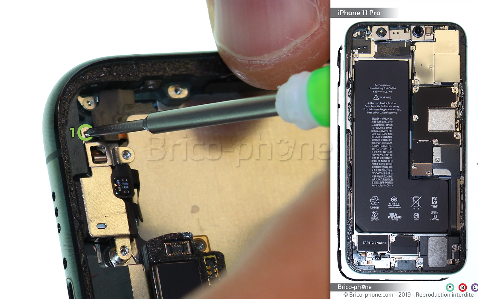 Démontage complet sur iPhone 11 Pro photo 1